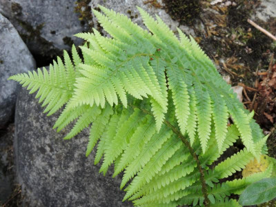 DSCN2292.JPG