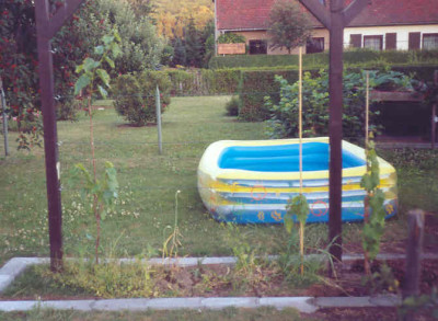 pergola2.jpg