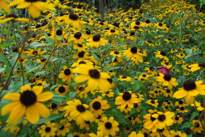2015_0923herbstlich0027.JPG