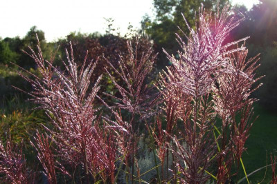 2015_0923herbstlich0018.jpg
