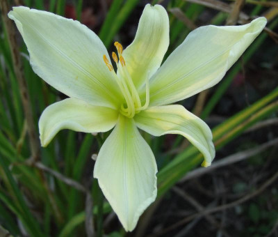 2015_0923herbstlich0020.jpg