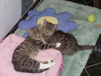 Jacko und Louis.jpg