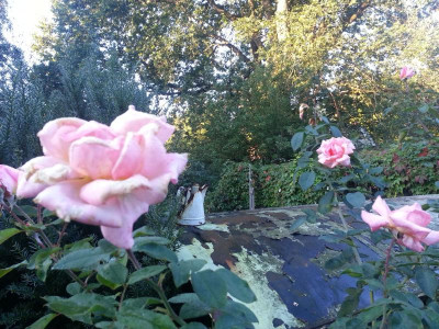 20150924_073730.jpg