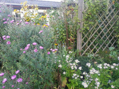 20150924_073746.jpg