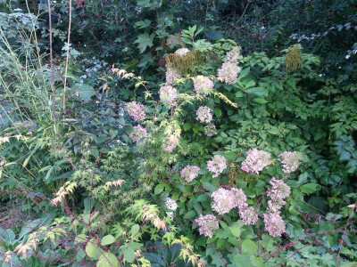 20150924_073608.jpg