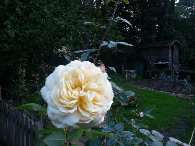 20150924_073231.jpg