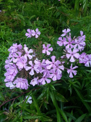 20150924_073513.jpg