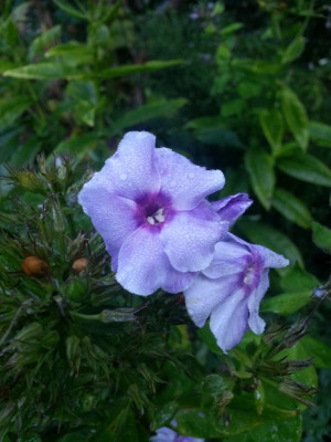 20150924_073526.jpg