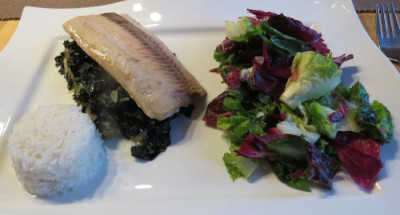 IMG_0002 Essen am 25.9.15 - Palmkohl, Lachs, reis und Salat.jpg