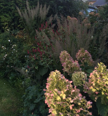 26092015 garten 4.jpg