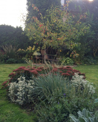 26092015 garten 9.jpg