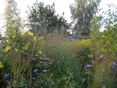Herbst2.JPG