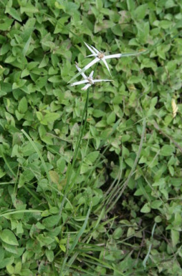 IMG_3763_Größenveränderung_Größenveränderung.JPG