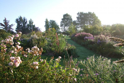 2015_0926Herbstmorgen0016.JPG