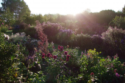 2015_0926Herbstmorgen0028.jpg