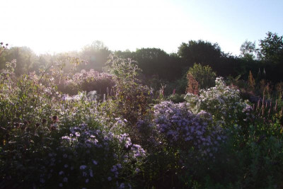 2015_0926Herbstmorgen0034.JPG