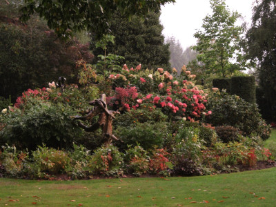 IMG_&748.jpg