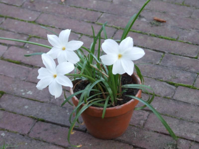 DSCF2552.JPG