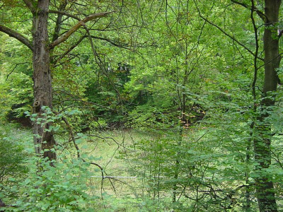 DSC04835.JPG