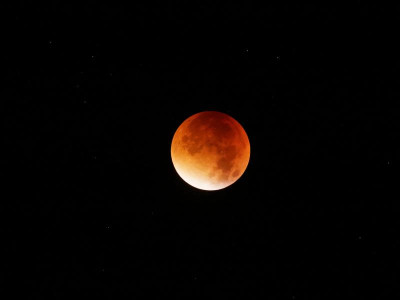 P9280001_DxO_1zu1.jpg