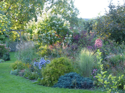 2015-09-28 Garteneinblick 1.jpg
