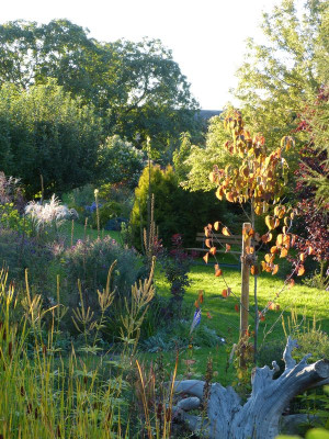 2015-09-28 Garteneinblick 2.jpg