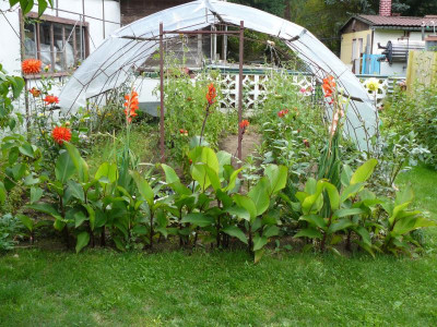 P1170964.JPG