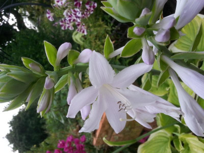 20150810_171137.jpg