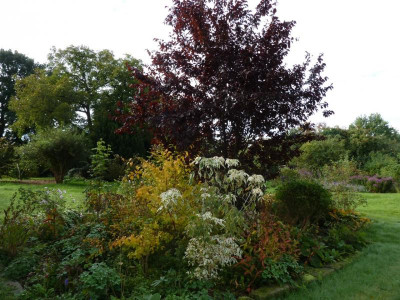 tg_150930_1.jpg