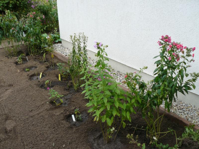 P1180064(2).JPG