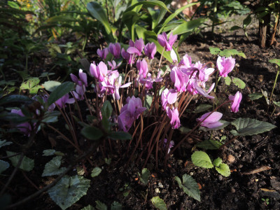 DSCN8315_945.JPG