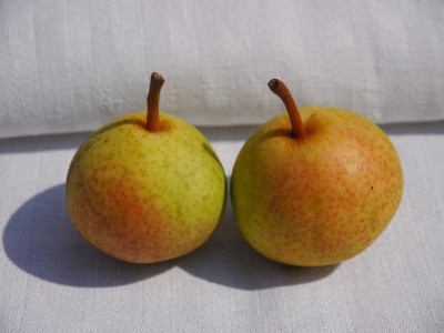 P1000056.JPG