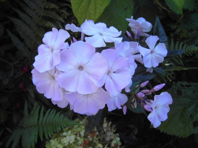 PICT0766.JPG