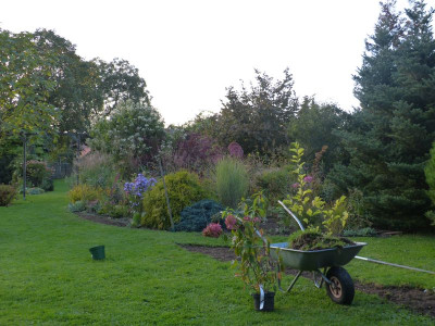 2015-10-03 Garteneinblick 1.jpg