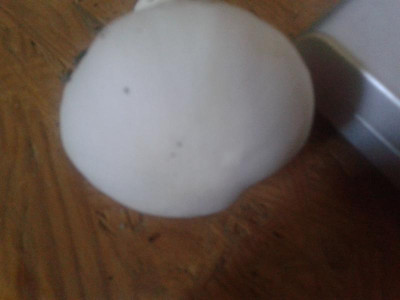 20151003_105128.jpg