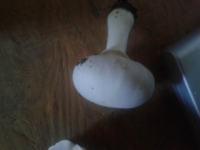 20151003_105121.jpg