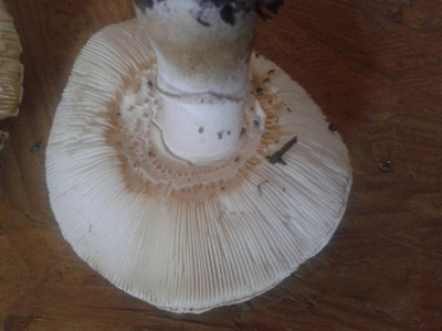 20151003_105028.jpg