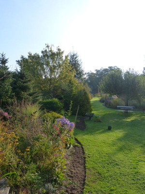 2015-10-04 Garteneinblick 3.jpg