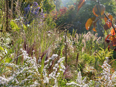 2015-10-04 Gartenimpressionen 3.jpg