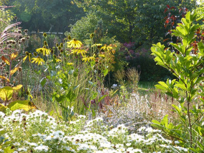 2015-10-04 Gartenimpressionen 4.jpg