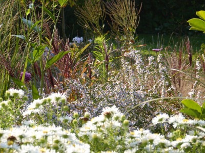 2015-10-04 Gartenimpressionen 5.jpg