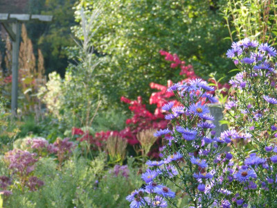 2015-10-04 Gartenimpressionen 6.jpg