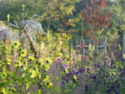 2015-10-04 Gartenimpressionen 7.jpg