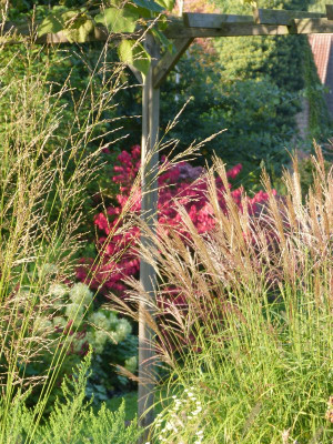 2015-10-04 Gartenimpressionen 10.jpg