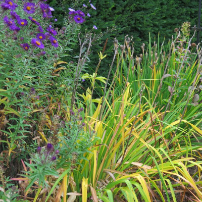 IMG_1334.JPG