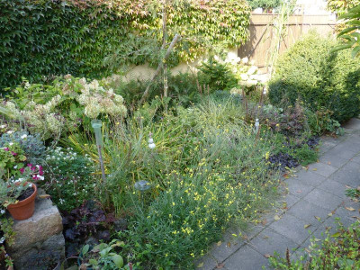 2015-10-04 Terrassenbeet 1.jpg