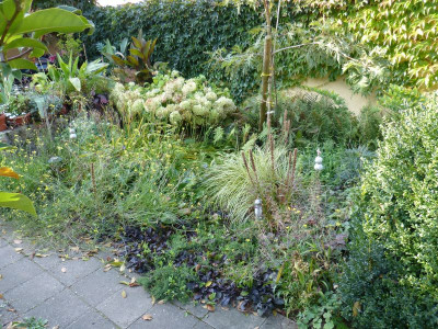 2015-10-04 Terrassenbeet 2.jpg