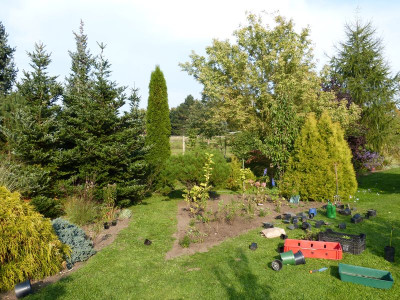 2015-10-04 Beet 2.jpg
