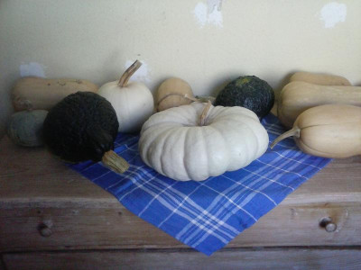 CAM00520.jpg