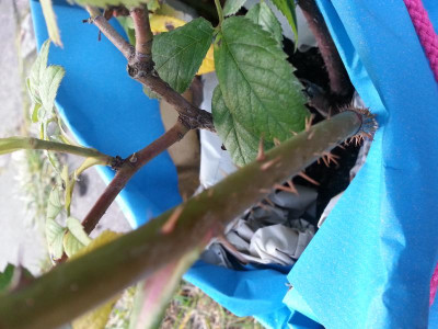 20151002_075056.jpg